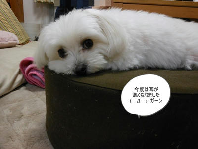 DSCN9893.jpg