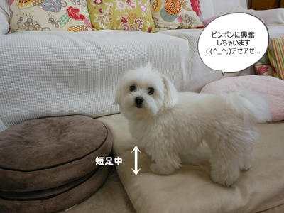 DSCN9939.jpg
