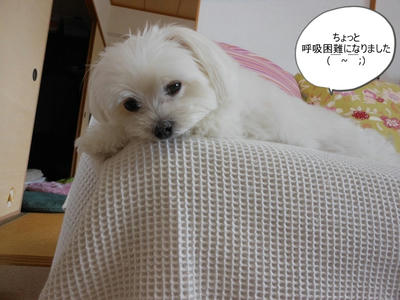 DSCN9962.jpg