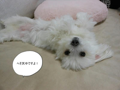 DSCN0013.jpg