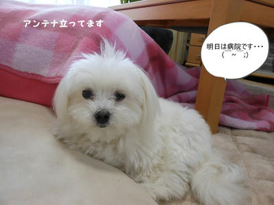 DSCN9956.jpg