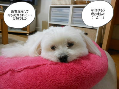 DSCN0038.jpg