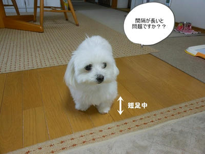 DSCN0067.jpg