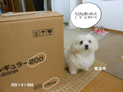DSCN0104.jpg