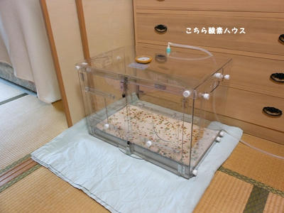 DSCN0125.jpg