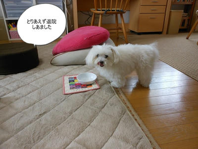 DSCN0132.jpg