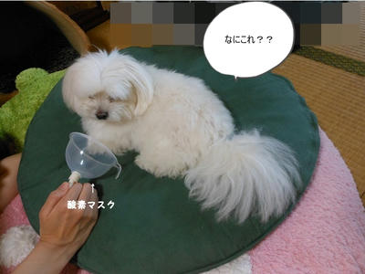 DSCN0137.jpg