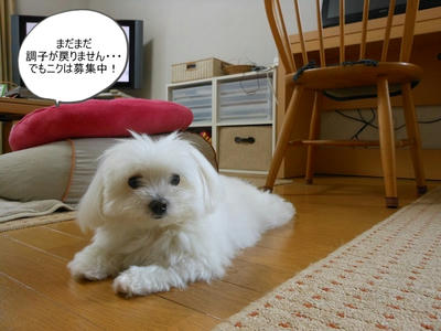 DSCN0148.jpg