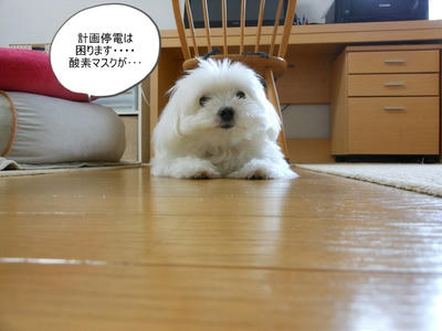 DSCN0147.jpg