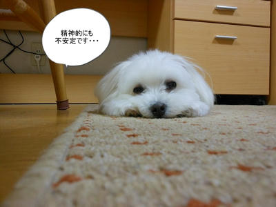 DSCN9927.jpg
