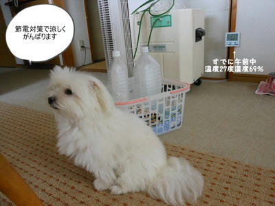 DSCN0180.jpg