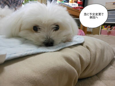 DSCN0156.jpg
