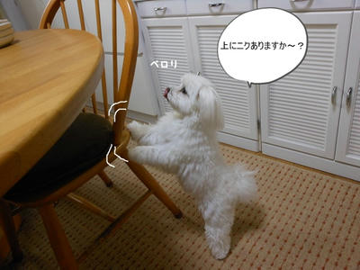 DSCN9921.jpg