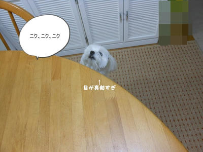 DSCN9919.jpg