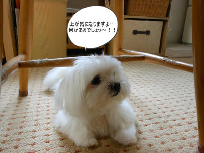DSCN0078.jpg