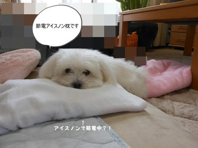 DSCN0238.jpg
