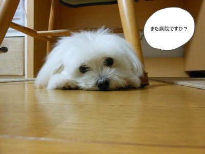 DSCN0212.jpg