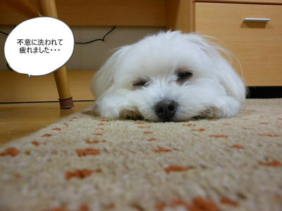 DSCN9930.jpg
