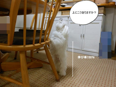 DSCN0276.jpg