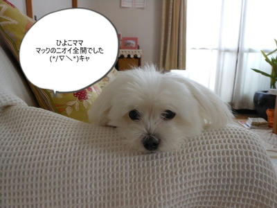 DSCN0291.jpg