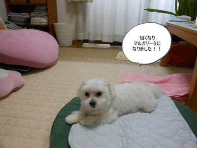 DSCN0380.jpg