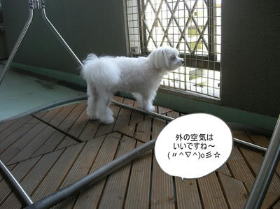 DSCN9570.jpg