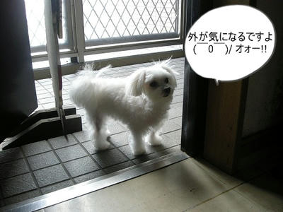 DSCN9580.jpg
