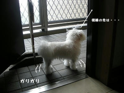 DSCN9581.jpg