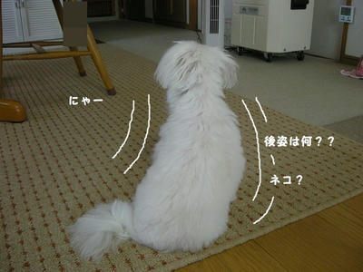 DSCN9588.jpg