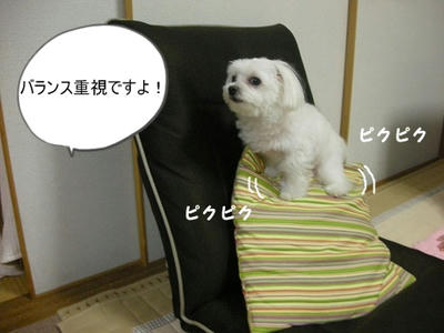 DSCN9594.jpg