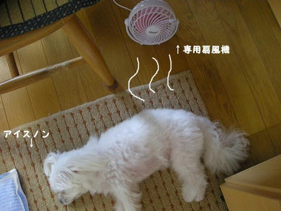 DSCN9607.jpg