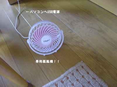 3a8223d9.jpeg