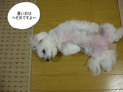DSCN9605.jpg