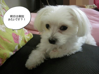 DSCN9638.jpg