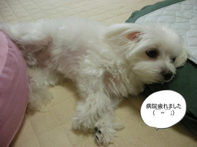 DSCN9658.jpg