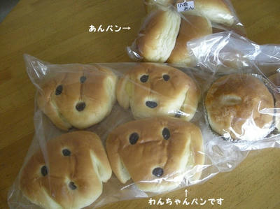 DSCN9678.jpg