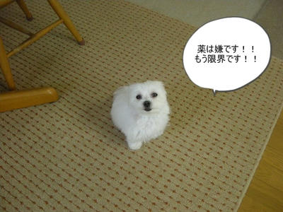 DSCN9617.jpg