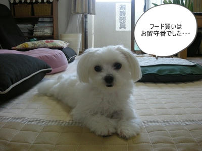 DSCN9695.jpg