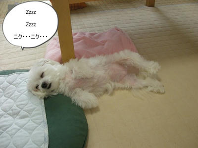 DSCN9725.jpg