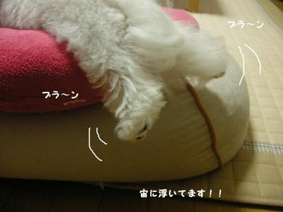 DSCN9728.jpg