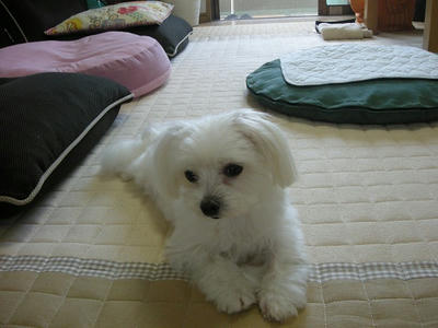 DSCN9705.jpg