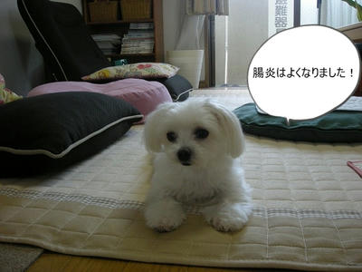DSCN9708.jpg