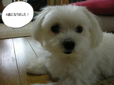 DSCN9798.jpg