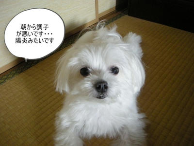 DSCN9793.jpg