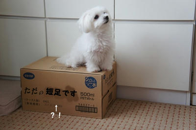 DSC02493.jpg