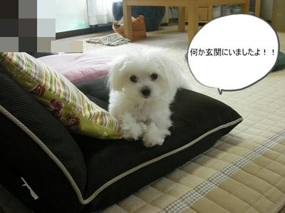 DSCN9828.jpg