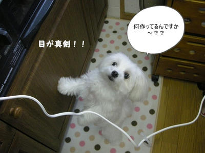 DSCN9778.jpg