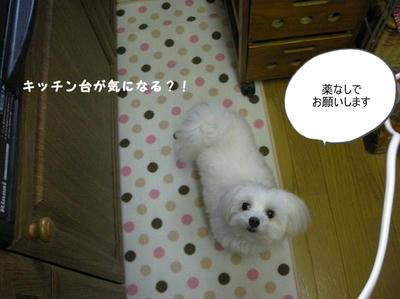 DSCN9782.jpg