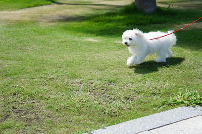 DSC02548.jpg