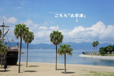 DSC02554.jpg